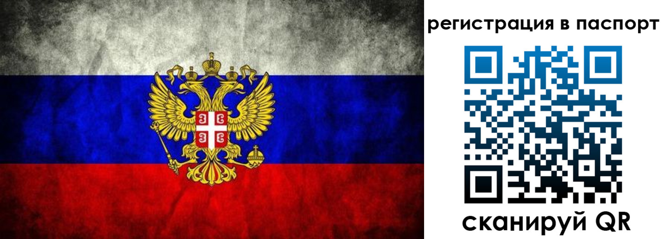 временная регистрация купить в Камчатской области